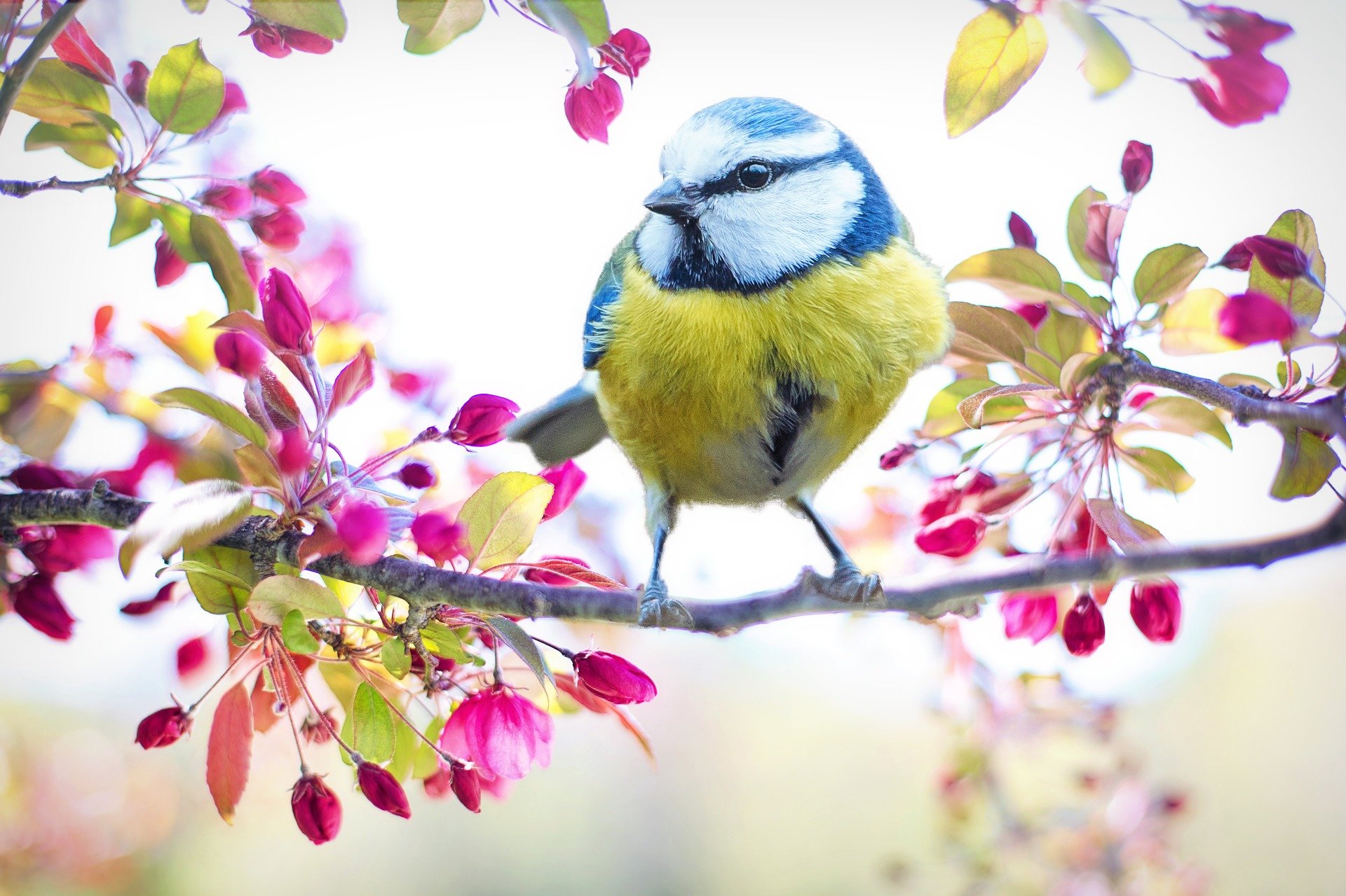 Heiter bis sonnig, oder eiskalt erwischt? Angelsaison- und Frühlingslaunen
