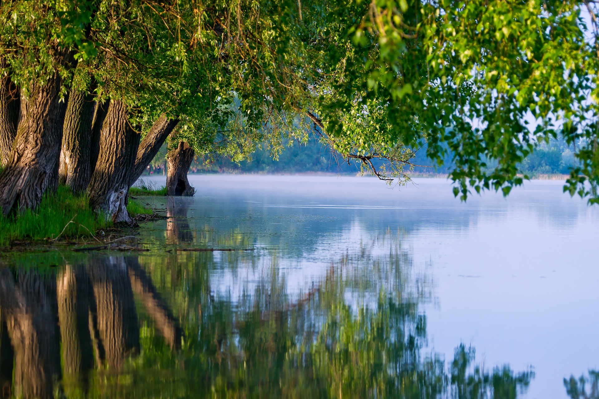 Flussangeln im Sommer – ein Leitfaden
