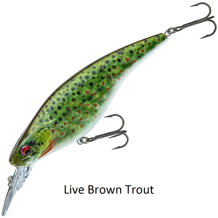 Daiwa Prorex Flat Bait MR Lure Live Brown Trout