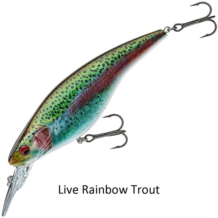 Daiwa Prorex Flat Bait MR Lure Live Rainbow Trout