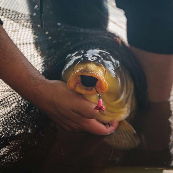 Fox Edges Illusion Fluoro D-Rigs