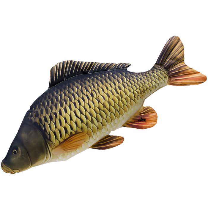 Gaby Fish Pillows The Common Carp