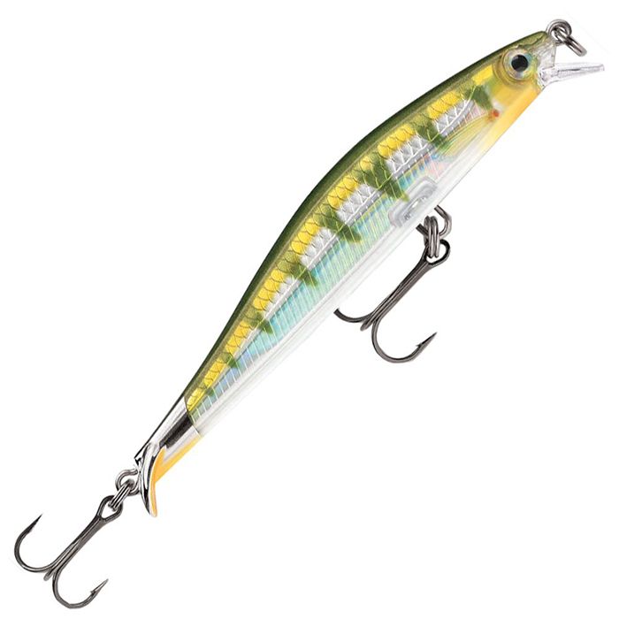 Yellow Perch
