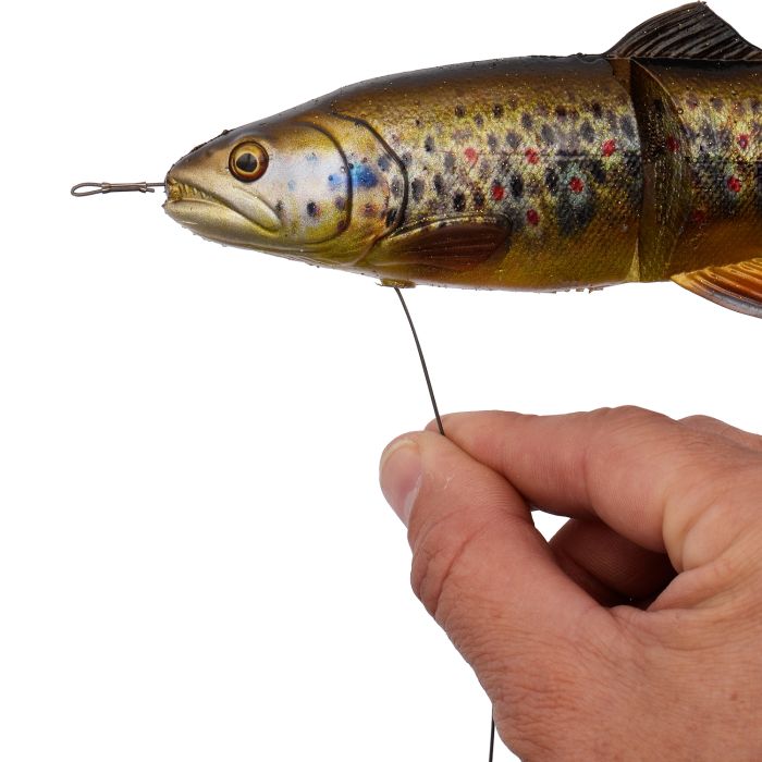 Savage Gear 4D Line Thru Trout Trace 2