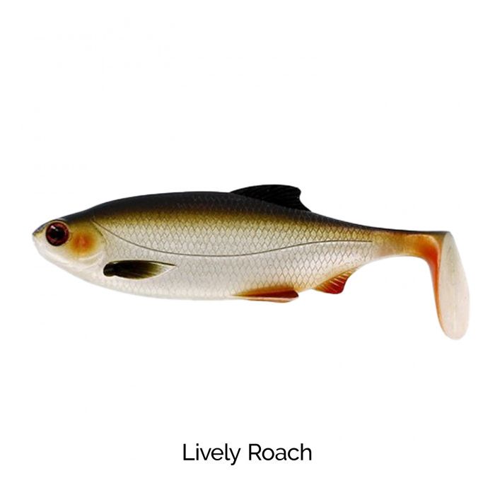 Lively Roach