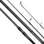 Daiwa Basia DF Carp Rod