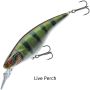 Daiwa Prorex Flat Bait MR Lure Live Perch