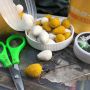 Hand-Rolled Bait Quality With Egg Oilies